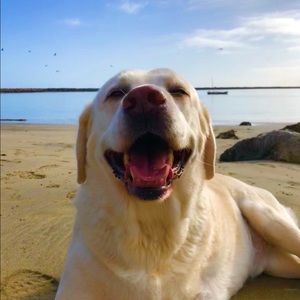 Meet your Posher, Corinne